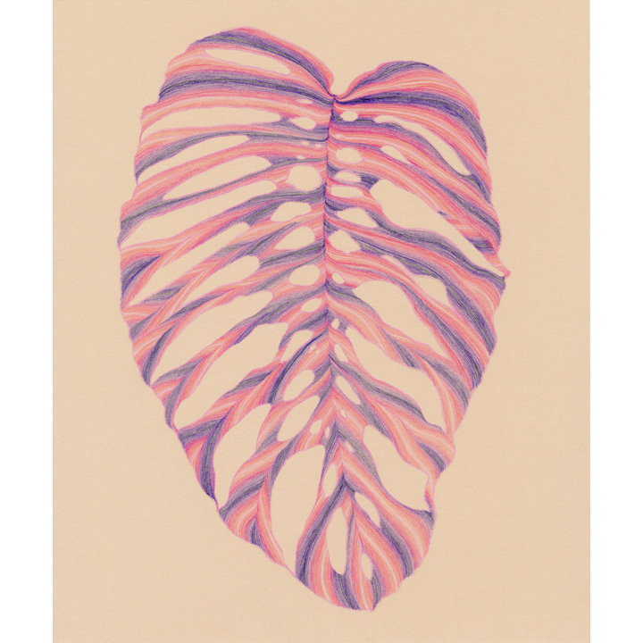 Large Monstera (Sunsets, Purple & Pink).html